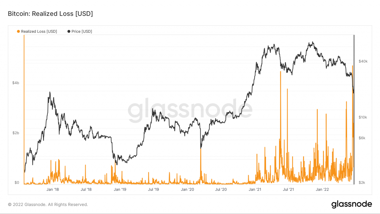 Hơn 50% địa chỉ Bitcoin vẫn có lời bất chấp thị trường gấu hiện tại
