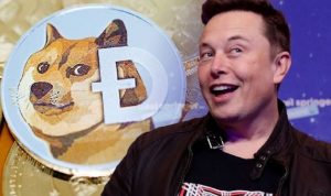 Vụ kiện Dogecoin của Elon Musk nóng lên khi các bên mới tham gia