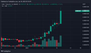 SHIB nhảy vọt 20%, DOGE tăng 5% khi trader truy lùng memecoin